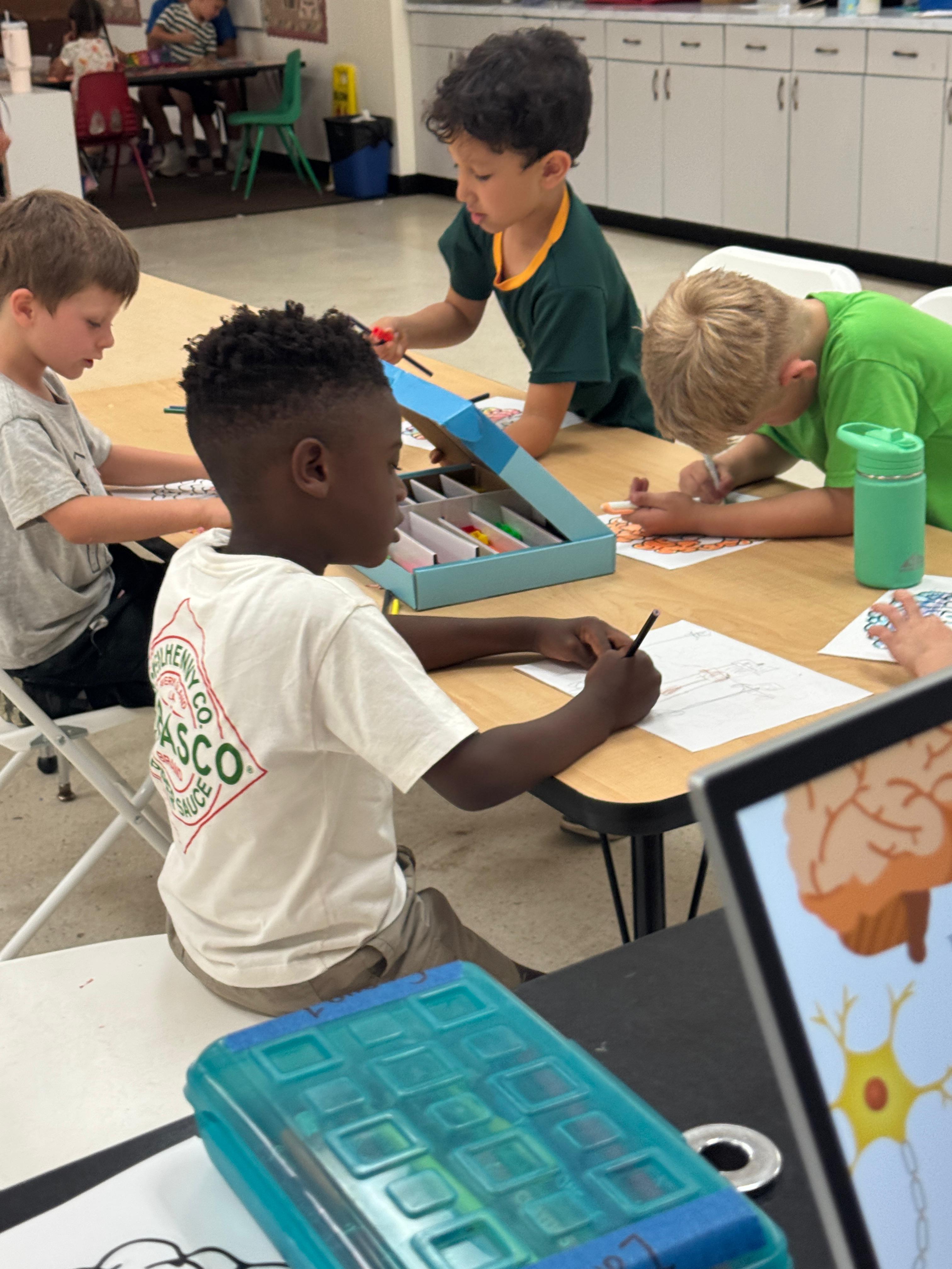 Students coloring brain diagrams